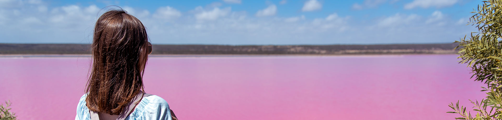 A person looking out at a pink lake