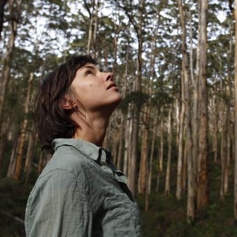 Woman standing in forest looking up to very tall trees