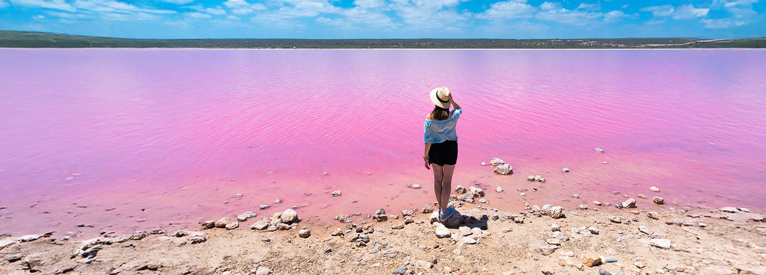 A person looking out at a pink lake