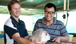 Two People holding and observing a fish