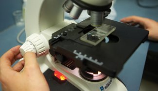 Person using microscope