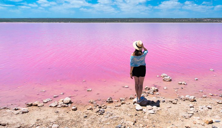 A person looking out at a pink lake