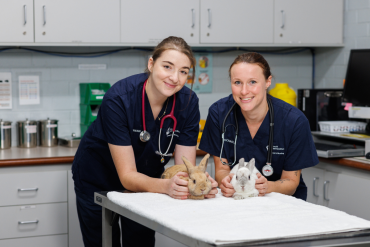 Veterinary nursing student